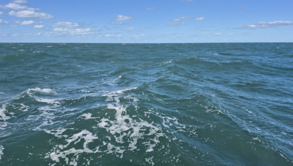 2026 02 03 Highbourne nach Shrout Cay – ein kurzer Schlag